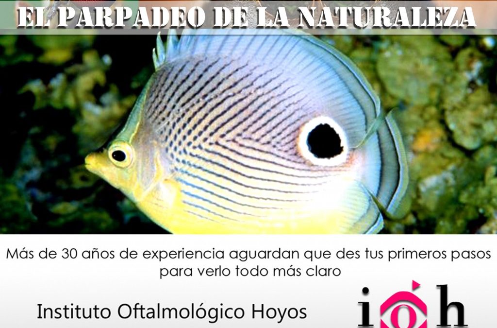 el parpadeo de la naturaleza