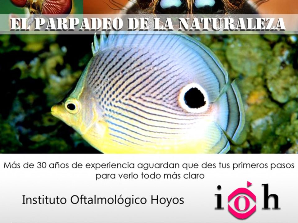 el parpadeo de la naturaleza