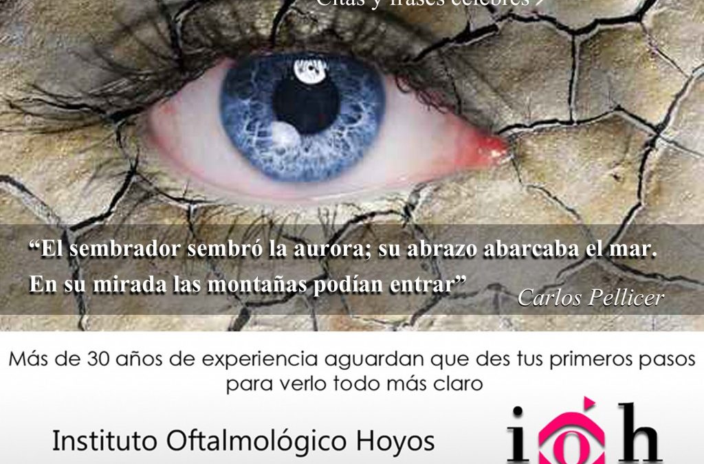 la mirada sabia citas y frases celebres