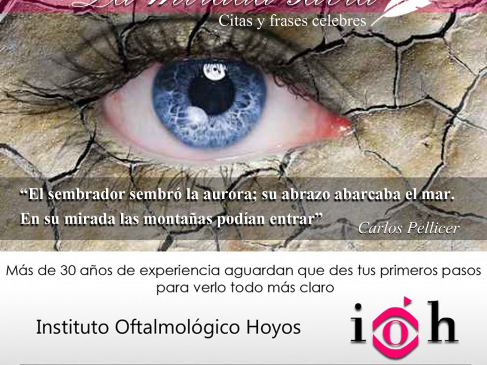 la mirada sabia citas y frases celebres