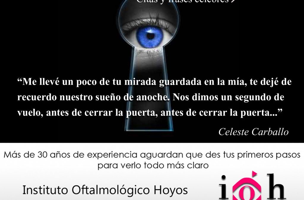 la mirada sabia citas y frases celebres