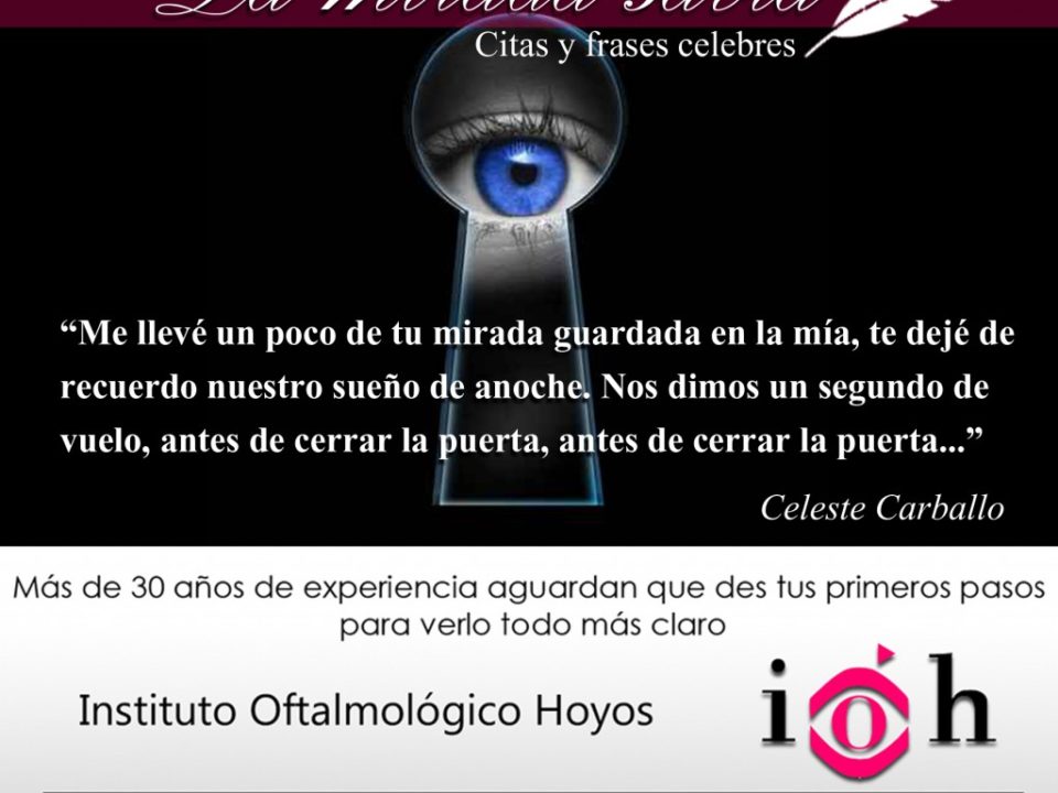 la mirada sabia citas y frases celebres