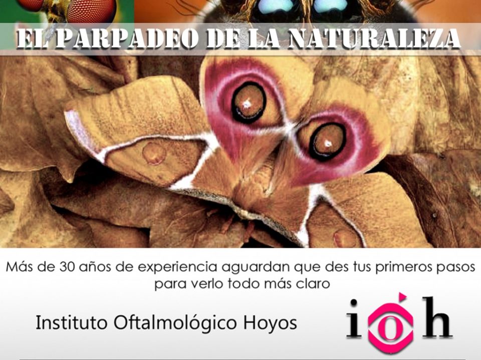 el parpadeo de la naturaleza