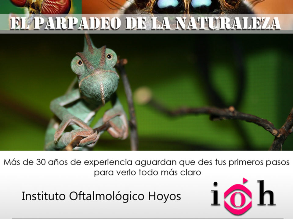 el papadeo de la naturaleza