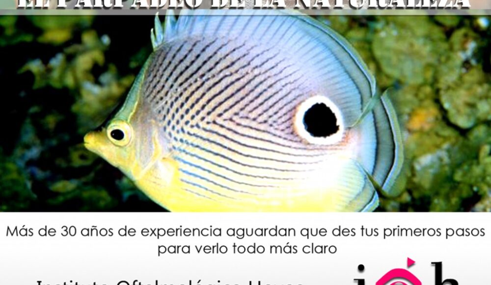 El Parpadeo de la Naturaleza