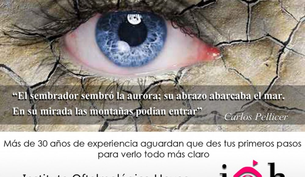 La Mirada Sabía