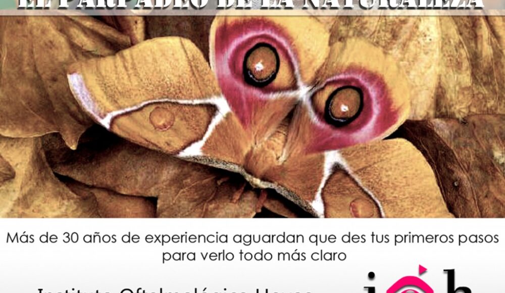 El Parpadeo de la Naturaleza “Los ojos de mariposa”