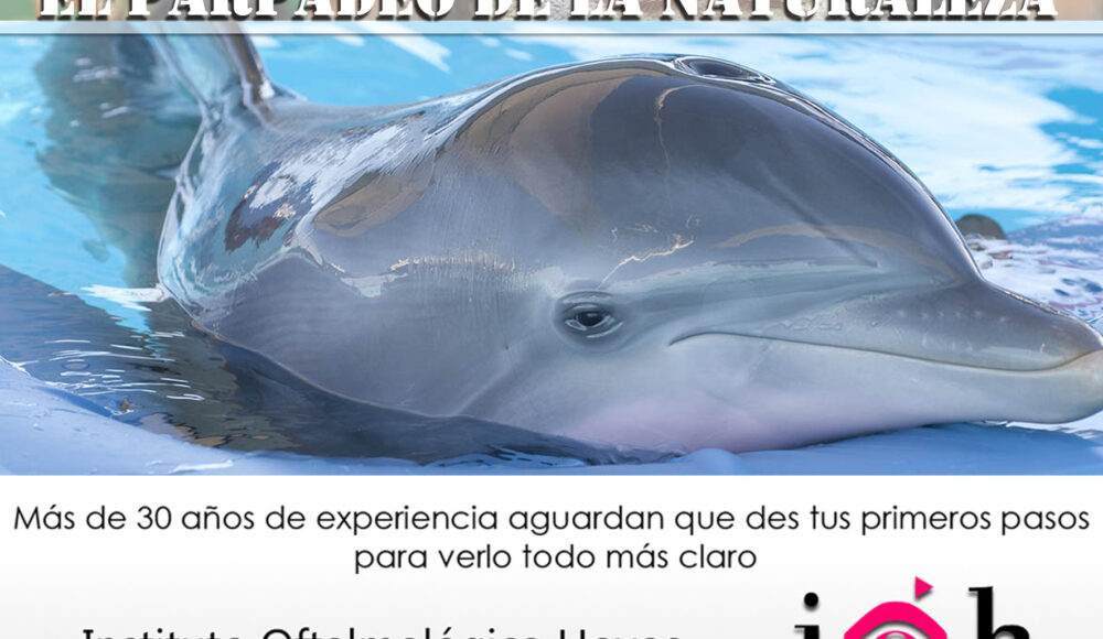 El Parpadeo de la Naturaleza. El sueño de los delfines