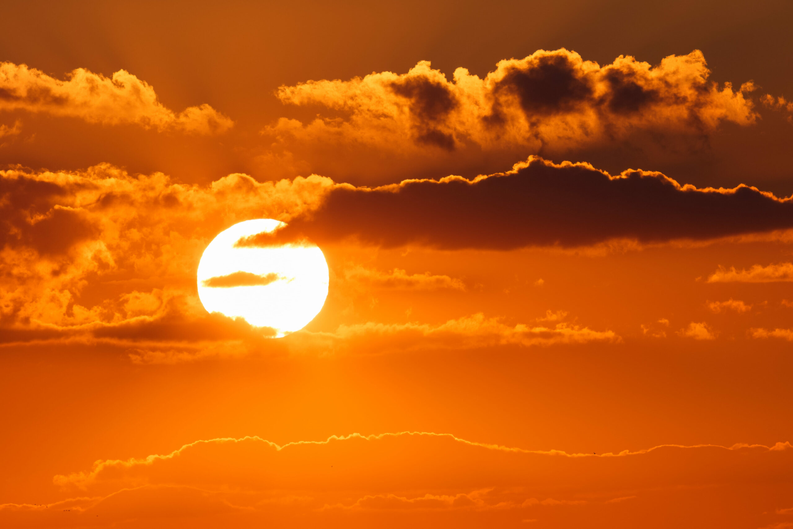 sol en verano